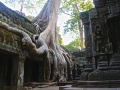 Ta Prohm